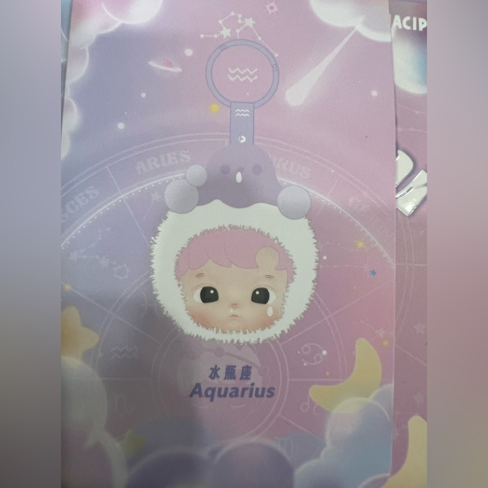 Pop mart hachipupu constellation Aquarius with random wild but city phone charm